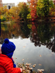 Autumn in Central Park