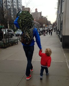 NYC Christmas tree home